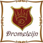 Kinderfeestjes/ workshops Volw./thema decoraties